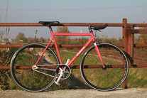 Faggin sl pista photo