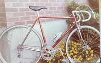 Faggin Vintage Steel 1983 photo