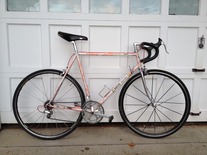 Fake Gios Torino photo