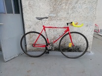 Fidusa pista pursuit photo