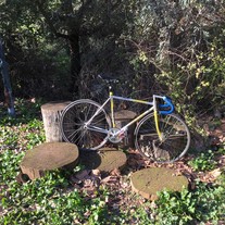 Fidusa Track Bike photo