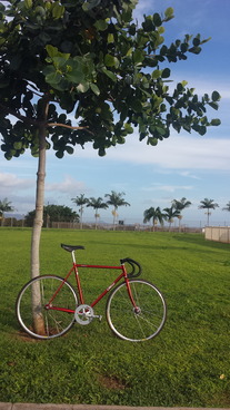 Finish build Cinelli Gazzetta (oahu)