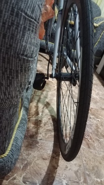 Fixed gear pandora