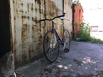 Fixed gear wain photo