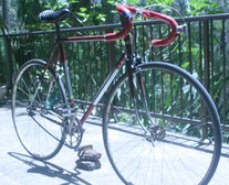 Fixie 2