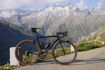 Focus Izalco Max photo