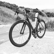 Focus Izalco Pro 3.0 photo