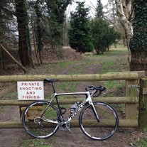 Focus Izalco Team Replica photo