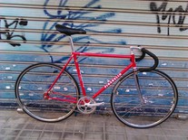 Pinarello Treviso Pista photo