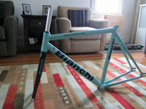 Frameset for Sale: Bianchi Pista Concept