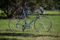 Francesco Moser photo