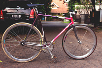 Francesco Moser Pursuit