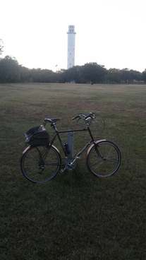 Franklin Frames Town Bike