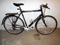 Fuji 3 speed weapon x