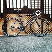 Fuji Altamira SE