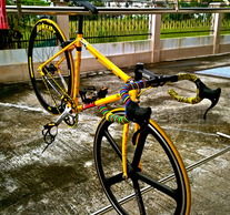 Fuji Classic "Yellow"