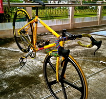 Fuji Classic "Yellow" photo