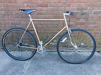 Fuji Copperhead single speed