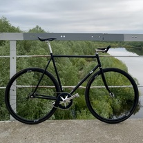 Fuji Feather 2014