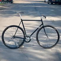Fuji Feather 2014