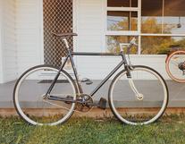 Fuji Feather 2019 58cm photo