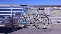 Fuji Feather 58 Custom Fixed Gear