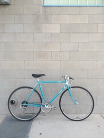 Fuji Flair 1980's