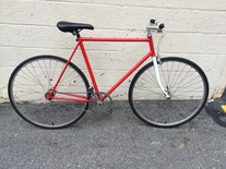 Fuji Regis Single Speed