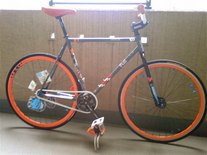 Fuji Track Shredder