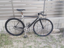 Ganwell gw-p1000 (Ganwell pro evasion) photo