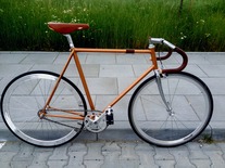 GAZELLE CHAMPION MONDIAL