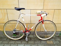 GAZELLE CHAMPION MONDIAL #2 CITY BIKE photo