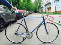 Gazelle champion mondial 56cm