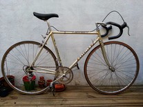 Gazelle Champion Mondial '78