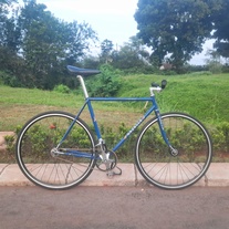 Gazelle Champion Mondial Campagnolo