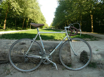 Gazelle Champion Mondial - FOR SELL photo