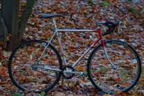 Gazelle Crosstrophy