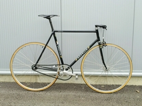 Gazelle Pista