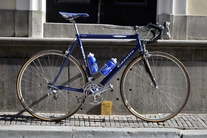 Gazelle Superbe Champion Mondial