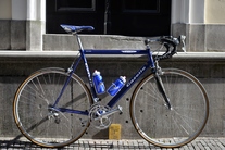 Gazelle Superbe Champion Mondial