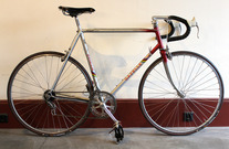 Gazelle Vuelta photo