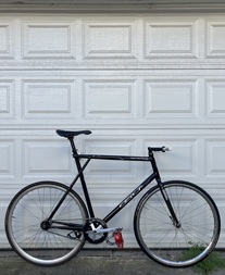 Gender Transition Kinesis