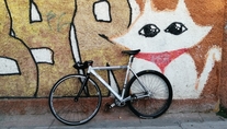 Generic alloy fixed gear