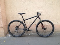 Genesis Fortitude 29er photo