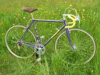 Gerber Road Bike photo