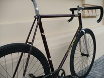 Gianni Motta Personal Pista