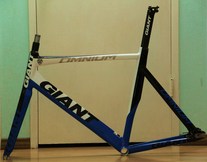 Giant Omnium photo