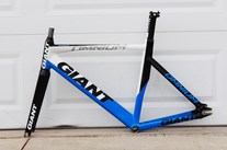 Giant Omnium photo