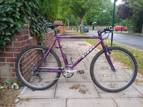 Giant pub bike