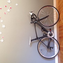 Giant TCR Advanced photo